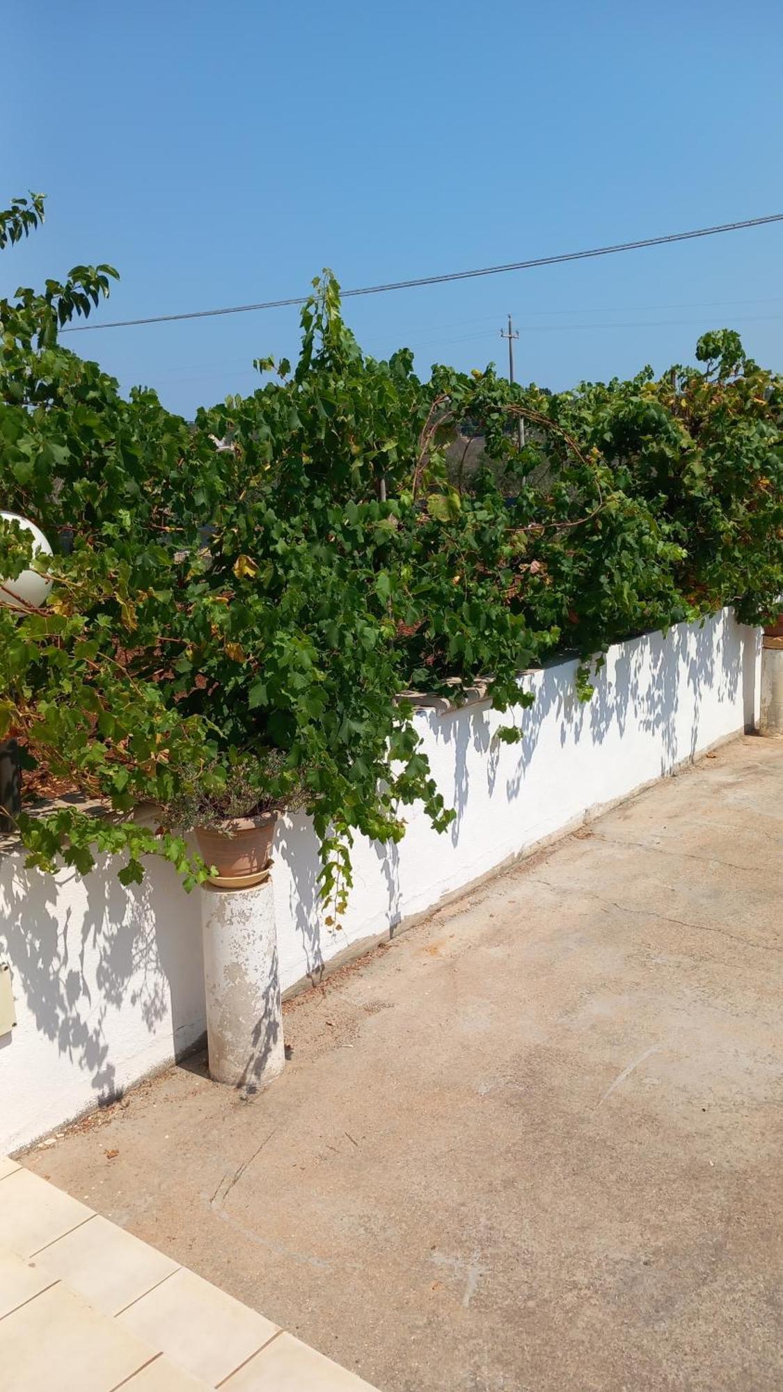 Villetta Balia Corsano  Bagian luar foto
